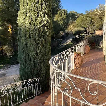 Type Provencal
