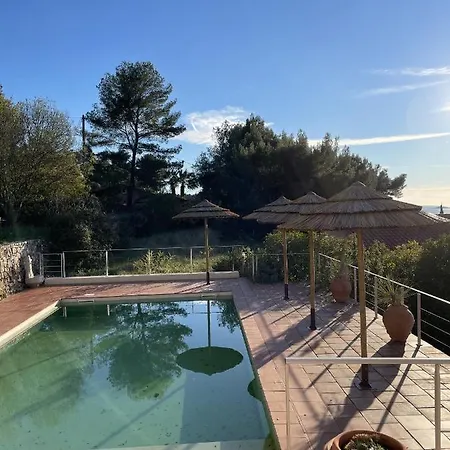 Type Provencal Ollioules